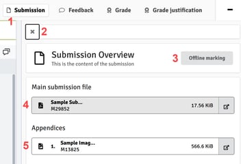 Marking Tool - Submission Pane (FLOWassign)