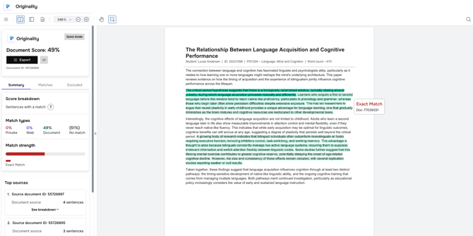 Originality Report Example