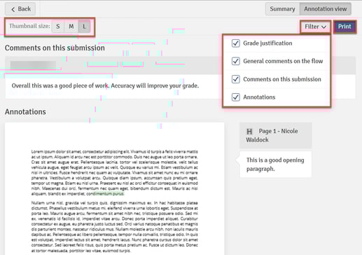 FLOWassign Annotation View (Legacy)