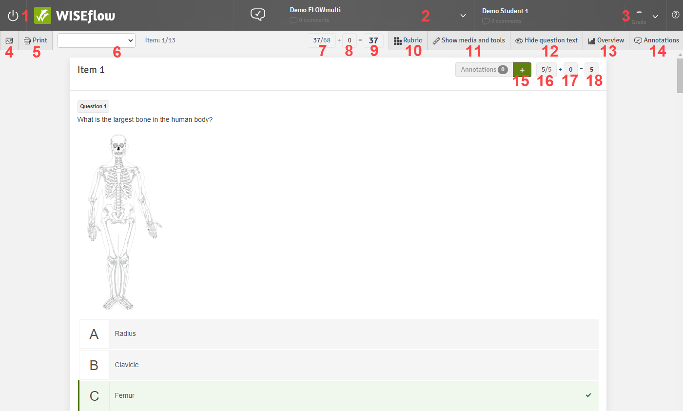 assessor_tool_flow_multi.png